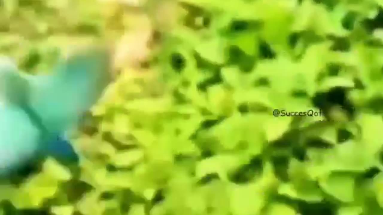 Awesome Nature Technology #shorts #shortvideo #video #virals #videoviral