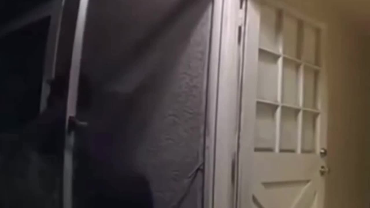 drunk lady falls through screen door while talking to cops