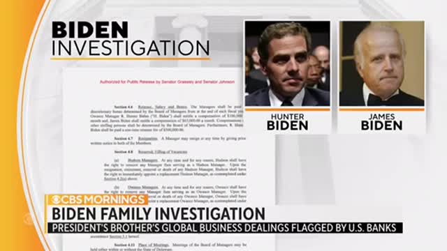 OVER 150 TRANSACTIONS INVOLVING HUNTER & JAMES BIDEN FLAGGED BY US BANKS