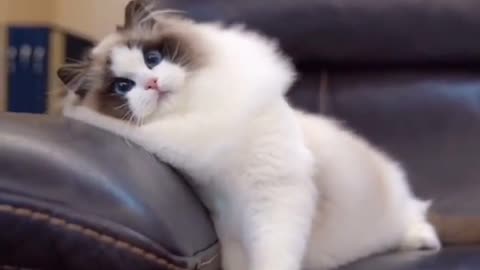 big eyes🥰