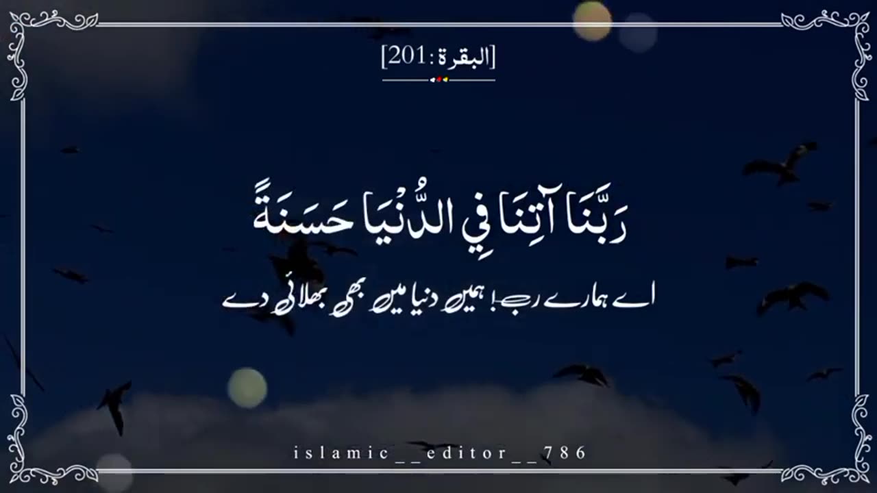 Beautiful Qur'anic recitation ❤️❤️