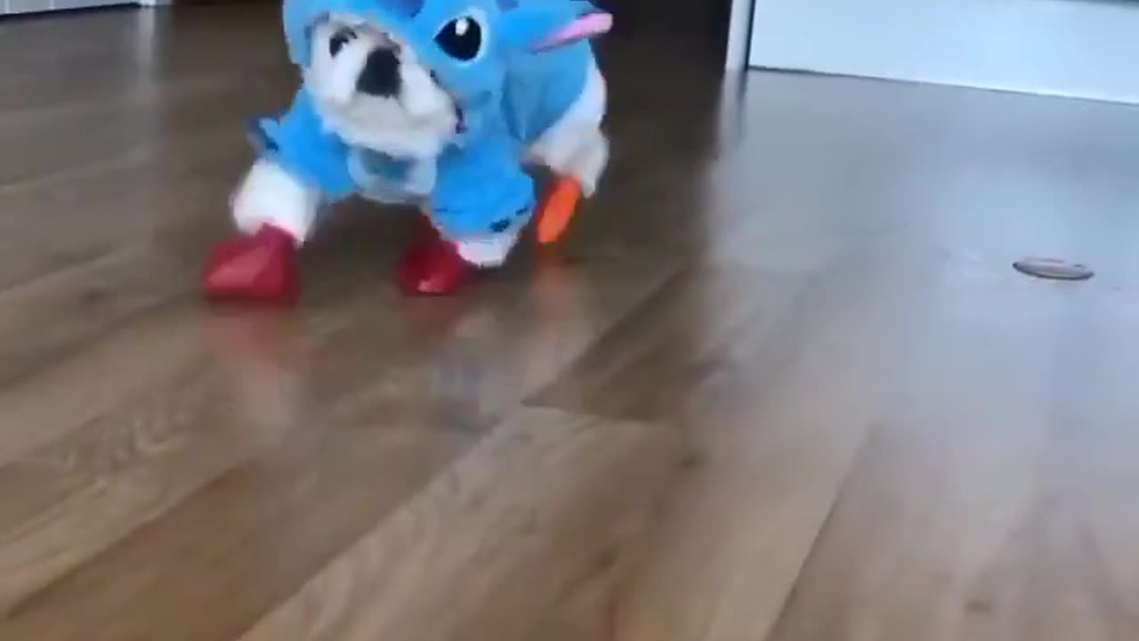 Funnypets