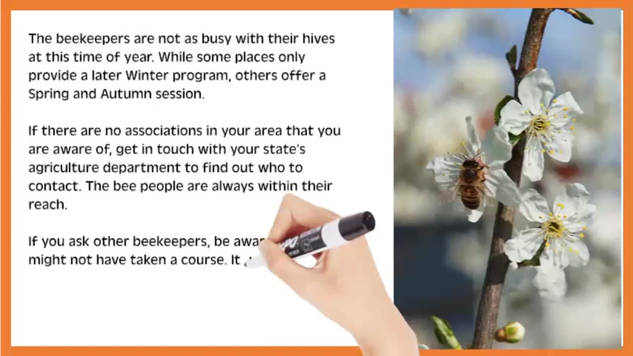 Should You Take a Beekeeping Class?