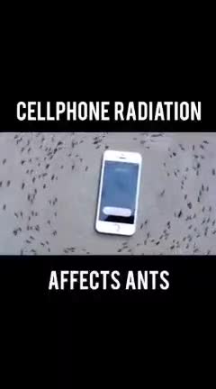 Use wired headphones