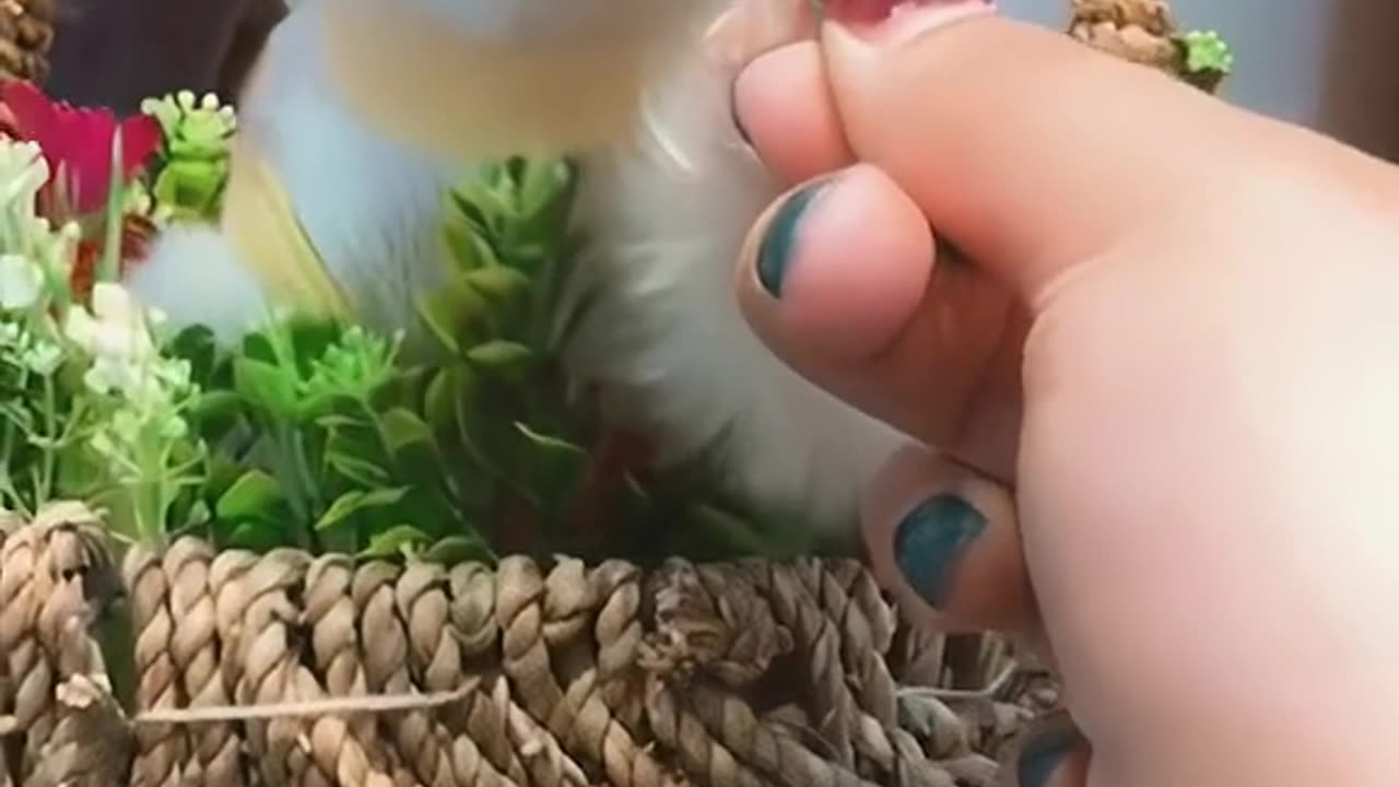 Mmm, it's really delicious.. 🥰