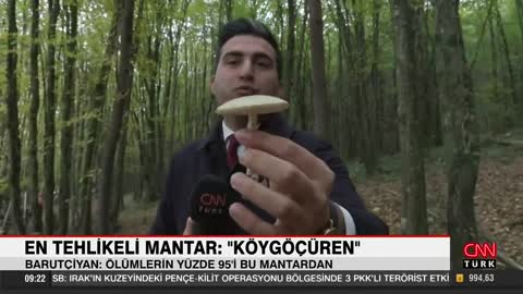 Doğadan mantar toplarken dikkat! Zehirli mantarlar nasıl anlaşılır?