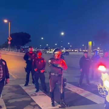 Pro-Palestinian demonstrators and police face off near LAX