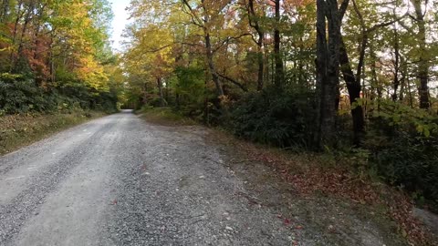 ASMR- A short walk on a gravel road