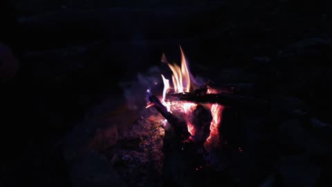 Relaxing Music | Sleeping, Meditation, Stress Relief | [6162] ⭐️