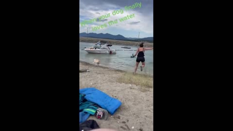 Pup is extremely excited to go swimming