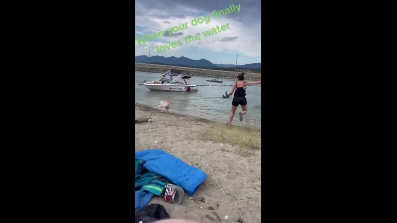 Pup is extremely excited to go swimming