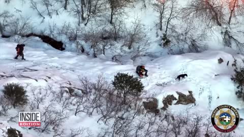 Dog Rescued on Christmas Day After Getting Lost in Mountains