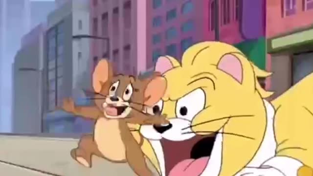 Tom & Jerry