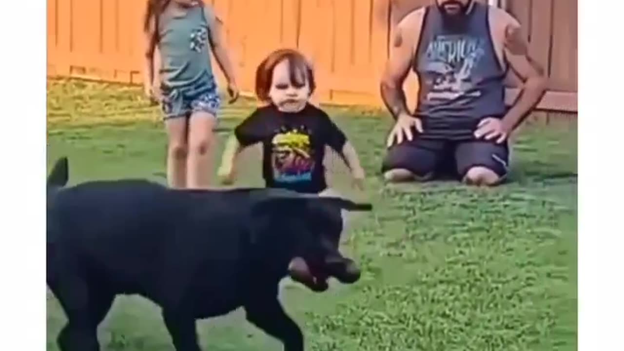 Baby fetches dog bone for dad