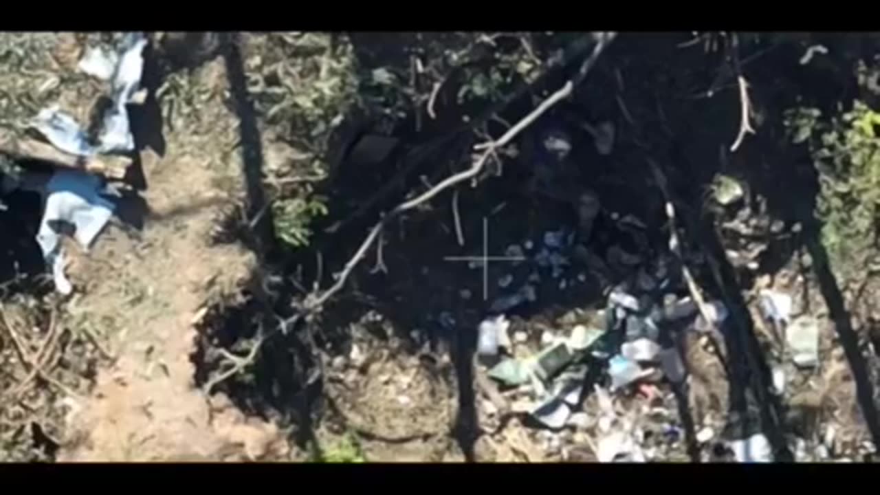 AFU Troops Landing in a Forest Line West of Verbove that is Under Constant Shelling