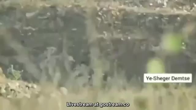 ወያኔ ክሀድሙ እንከለው ወርእይ ቪድዮ