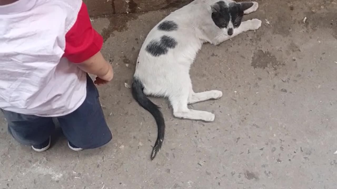 Children enjoying cat company