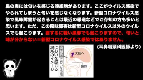 ワクチンを打つ前に見る動画 vaccination