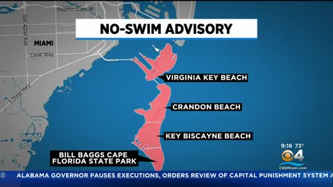 No Swim Advisory In Miami-Dade After Sewer Overflow From Heavy Rainfall