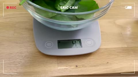 Food Scale