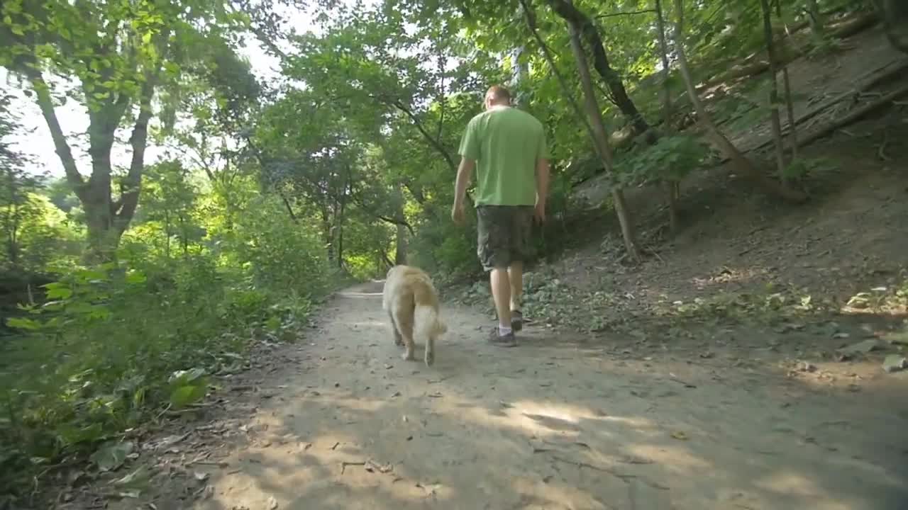 WITH A DOG WONDER...