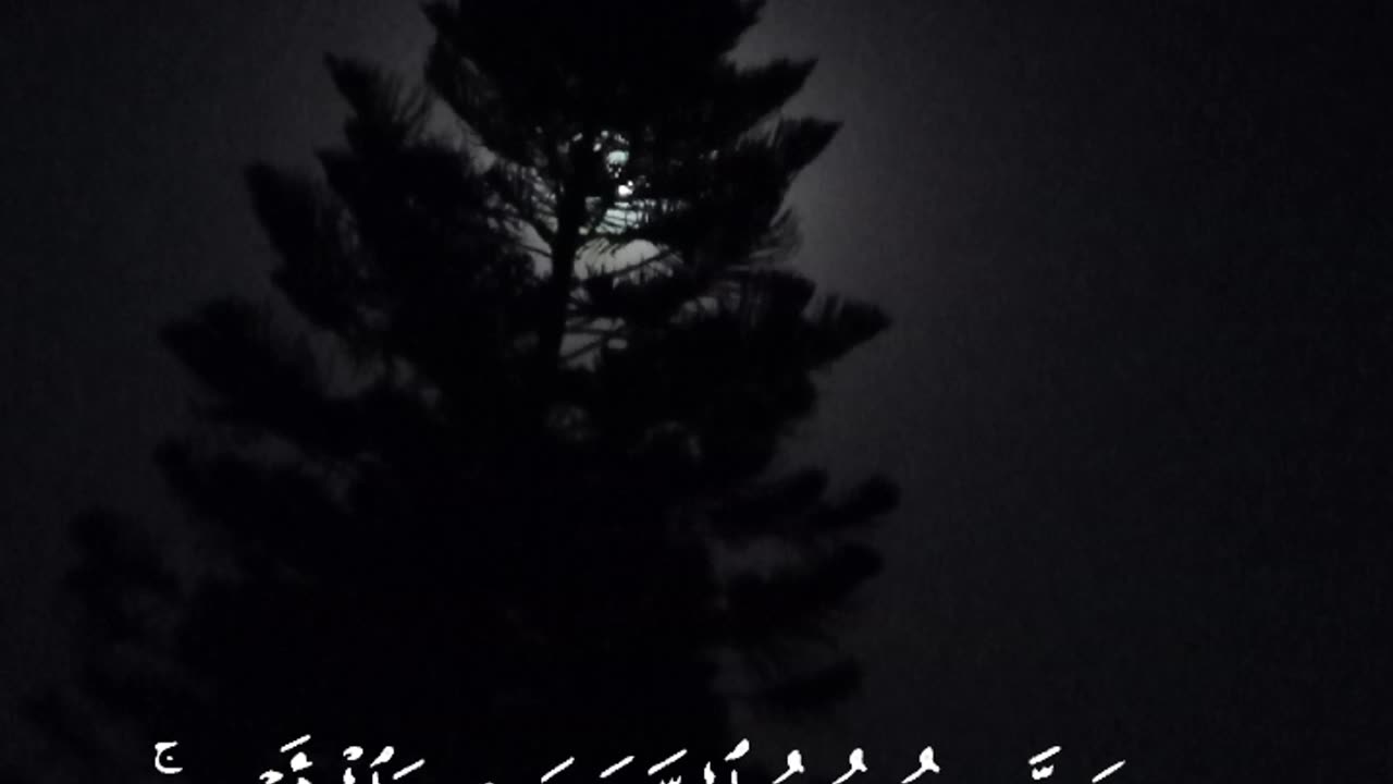 Qurani Ayat Vedio Whatsapp Status