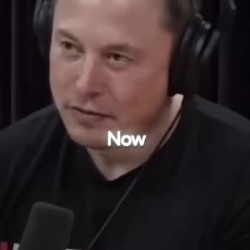 Elon Musk alega que existem tipos diferentes de dentifrícios?