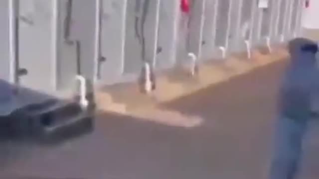 Nel frattempo in Cina... i prigionieri COVID nei campi hanno potuto celebrare il capodanno cinese