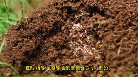 吃錯比沒吃更慘 服用保健品禁忌