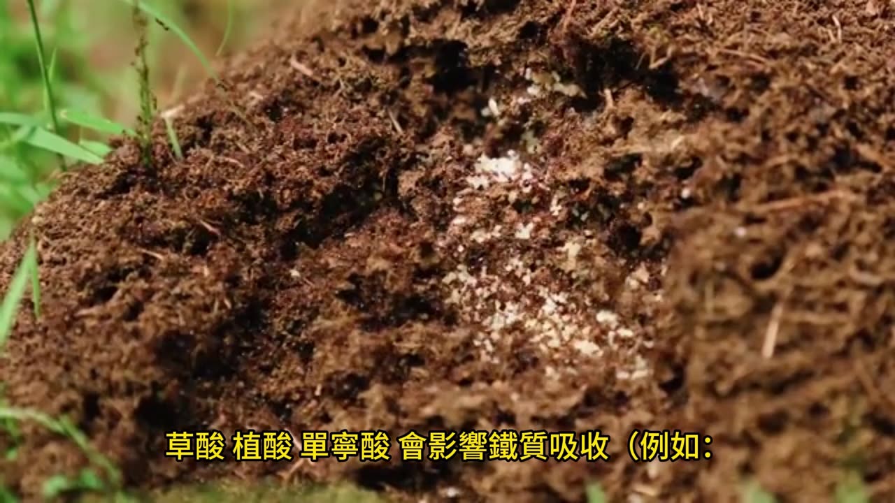 吃錯比沒吃更慘 服用保健品禁忌