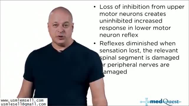 Neurology - Section 2 - MedQuest