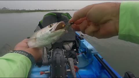 #RockportTexas #KayakFishing #Little Bay #Fishing #FeelFreeKayak