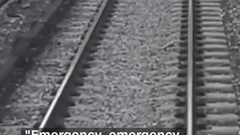 Train conductor spots 3-years-old boys on tracks