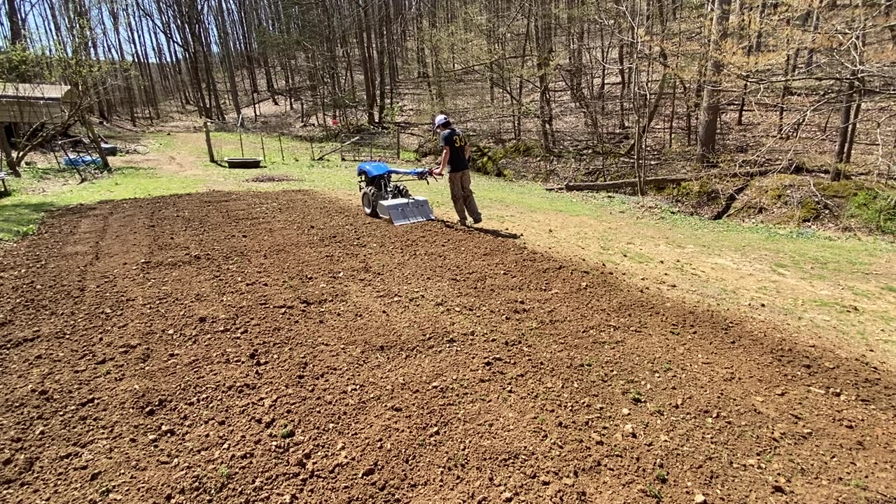 Blitz 80 Tiller prepping ground for cover crop seed