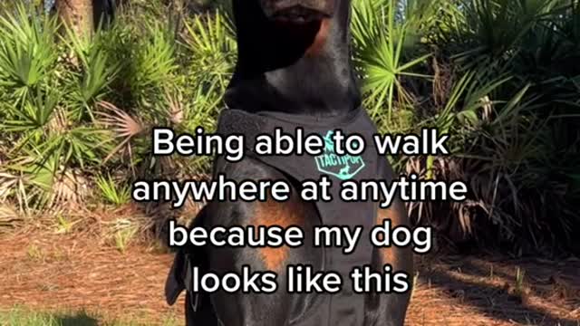 Being able to walk anywhere at anytime