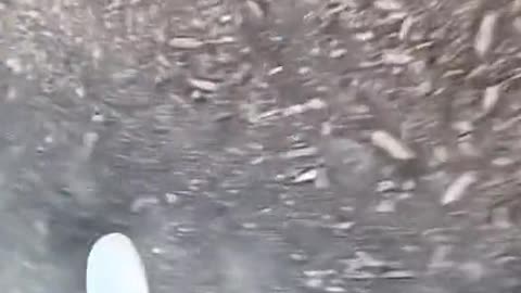 This is something else 😂 (via @idioticbasketball) #basketball #hoops #funny #ball