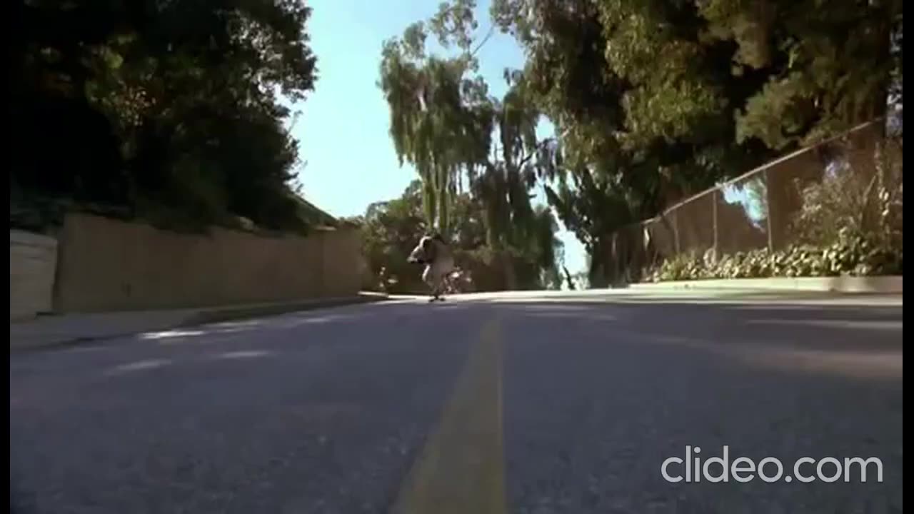 CHIEF KEEF - BITCH WHERE (MUSIC VIDEO)