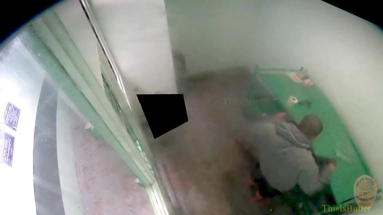 LAPD releases surveillance video of an inmate, Joseph Bayardo, who died in police custody