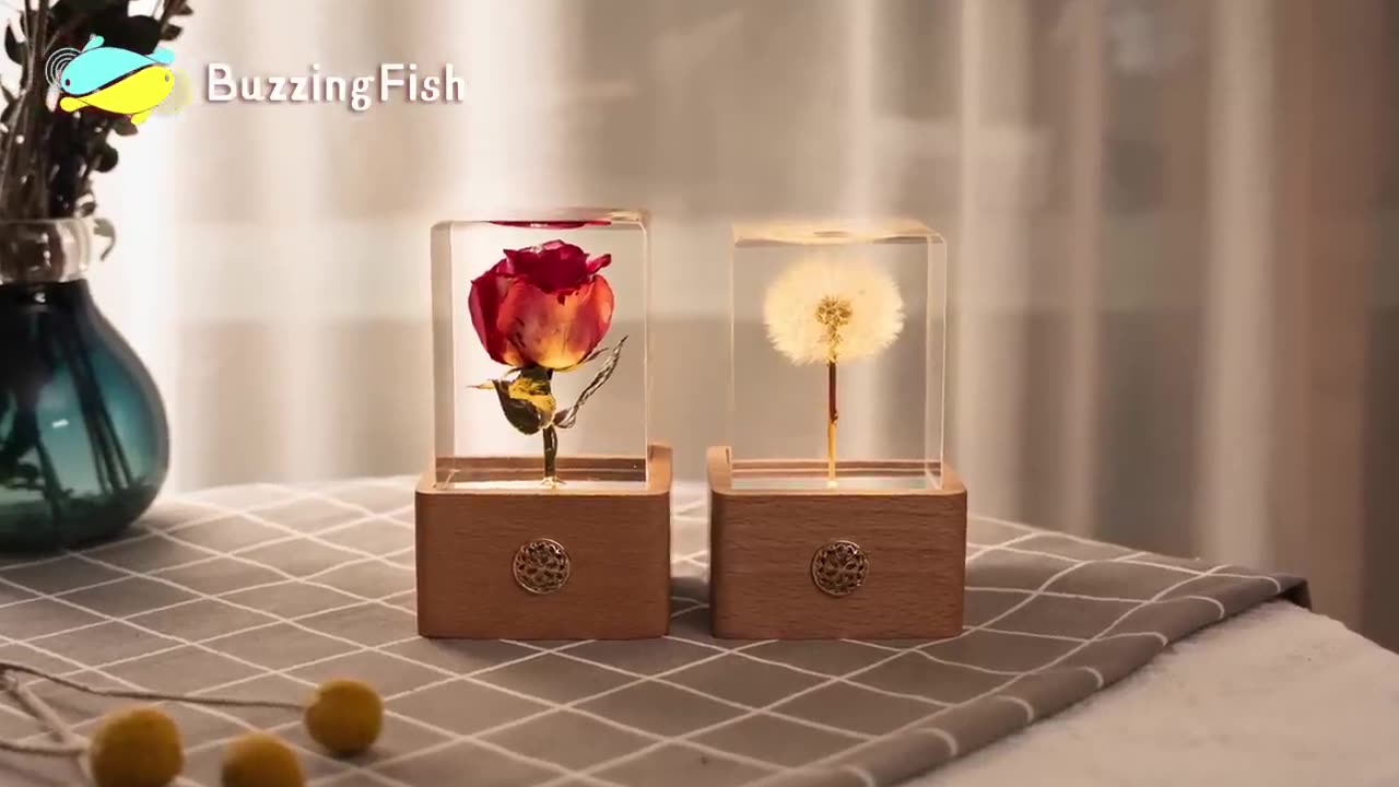 Makes an Awesome Night Lamp with Red Rose