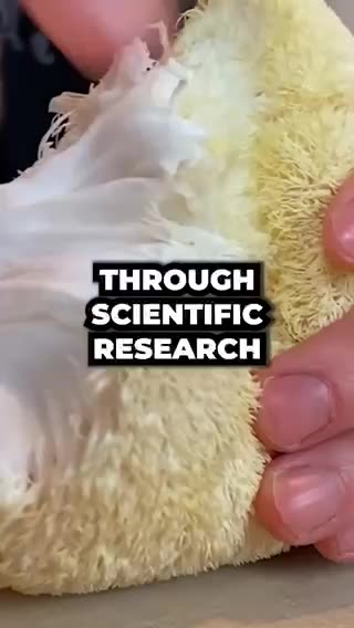 Lions Mane | Description