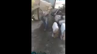 Old Man is Loading Heavy stone onto a Truck