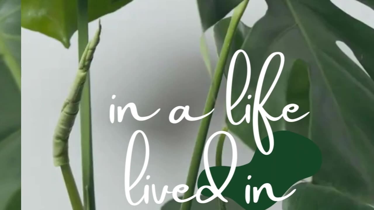 There is a calmness in a life lived in gratitude.