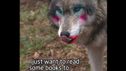 Random Memes 722