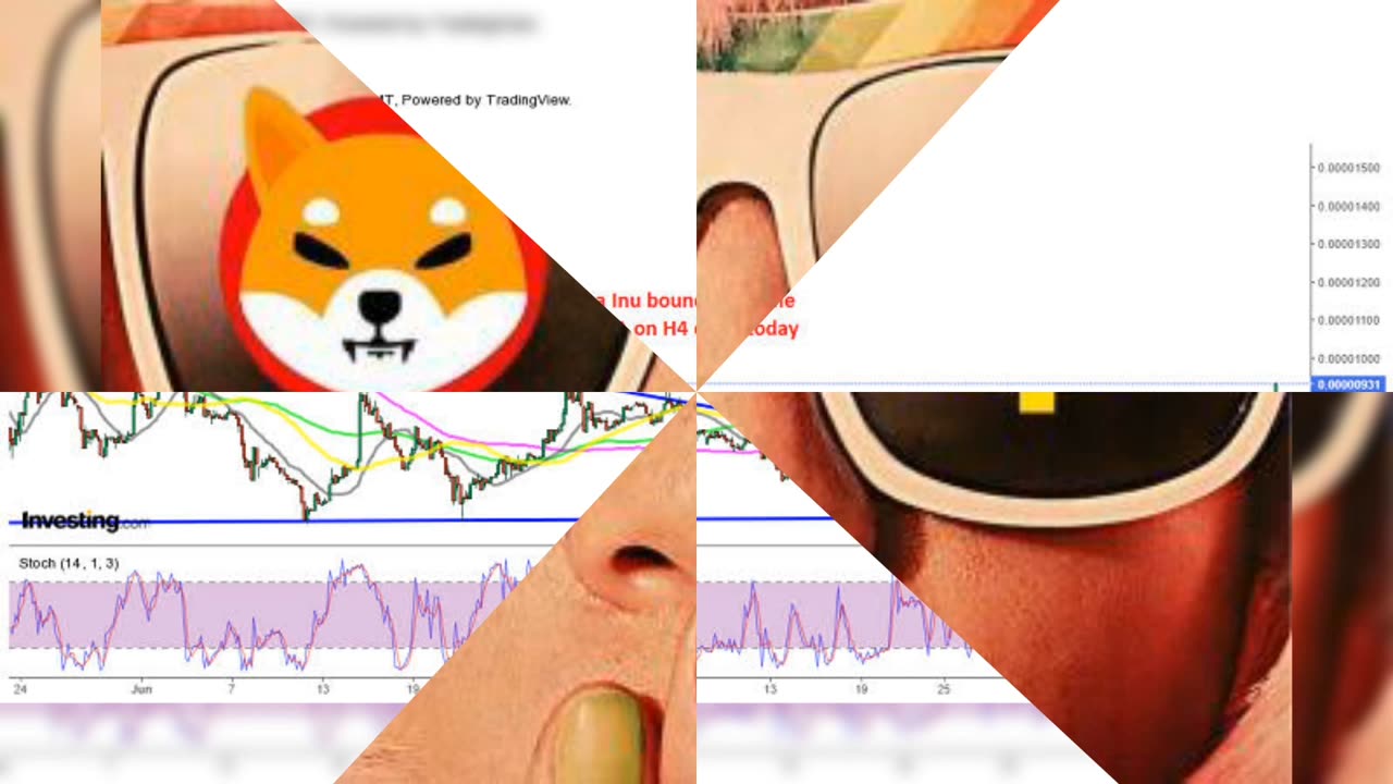 Shibarium Launch || Shiba Inu coin new updates|| 2025 Shib price 0.01$ ? 🚀
