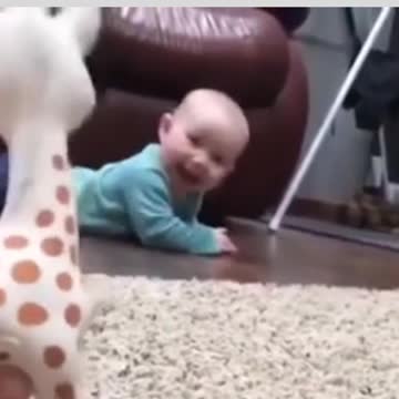 giraffe and baby pee pee