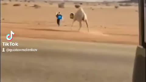 mi frioandante