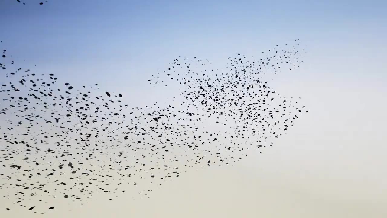 Panthère de Cartier