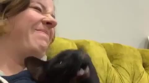 Cat Sneeze Fail