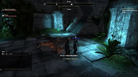 I found out about stampede surge Stam Sorc 2H