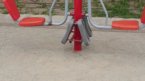 Public Exercise Area in a Park 🌳